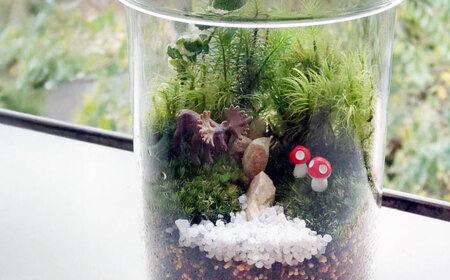 苔テラリウム（蓋付きガラス瓶）[APCJ008] テラリウム