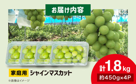【2026年先行予約】＜9月下旬から順次発送＞家庭用シャインマスカット 計1.8kg（約450g×4パック）[APCR001] シャインマスカット