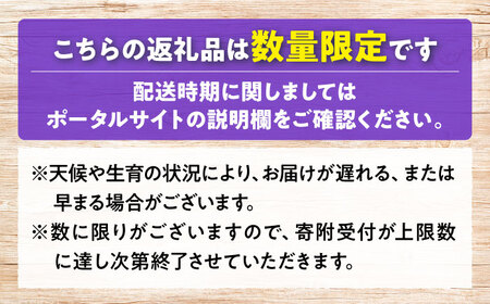 【2026年先行予約】＜9月下旬から順次発送＞家庭用BKシードレス ぶどう 計1.8kg（約450g×4パック）[APCR002] ぶどう