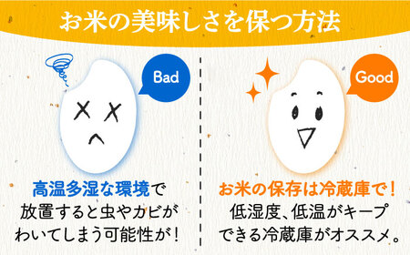 【すぐ届く】【R6産】三次市産お米 ミルキーサマー5kg[APBA030] 米