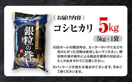 こしひかり 5kg 白米 最短3日 スピード発送 令和7年産 アグリ君田 [APDC001] コシヒカリ