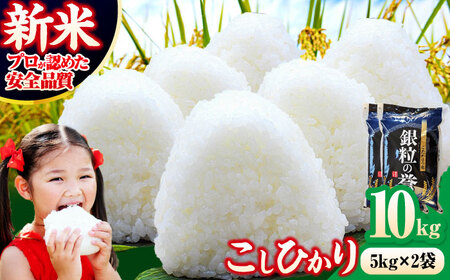 【令和7年】【スピード発送】アグリ君田の米 こしひかり5kg×2袋 [APDC002] こしひかり