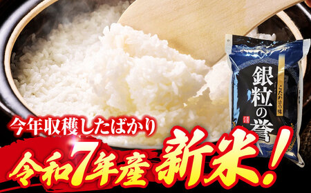 【令和7年】【スピード発送】アグリ君田の米 こしひかり5kg×2袋 [APDC002] こしひかり