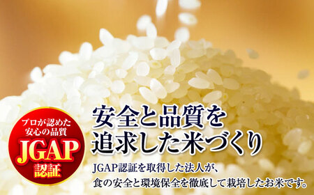 【令和7年】【スピード発送】アグリ君田の米 こしひかり5kg×2袋 [APDC002] こしひかり