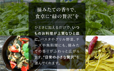 【先行予約】【2026年6月中旬頃から順次発送】調味料 バジルペースト ２個 [APCX001] 調味料