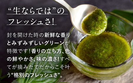 【先行予約】【2026年6月中旬頃から順次発送】調味料 バジルペースト ２個 [APCX001] 調味料