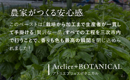 【先行予約】【2026年6月中旬頃から順次発送】調味料 バジルペースト ２個 [APCX001] 調味料
