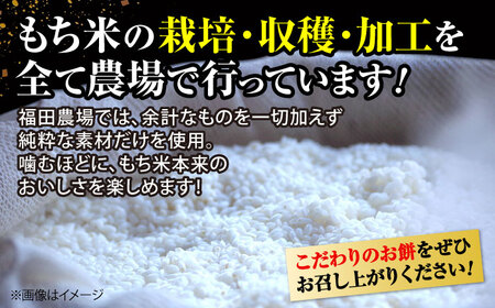 【先行予約】＜12月25日〜年内順次発送＞ もち 杵つきひら餅 10個×3  三次市 / 福田農場[APBM014]
