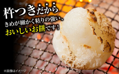 【先行予約】＜12月25日〜年内順次発送＞ もち 杵つきひら餅 10個×3  三次市 / 福田農場[APBM014]