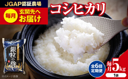 【全6回定期便】こしひかり 5kg 【令和7年産米】 [APDC005] コシヒカリ