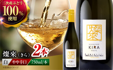 白ワイン 燦來 きら KIRA 750ml×2本[APAZ124]白ワイン