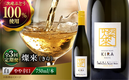【全3回定期便】白ワイン 燦來 きら KIRA 750ml×1本[APAZ129]白ワイン