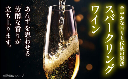 ワイン VILLAQUA イエロー [APAZ148] スパークリング ワイン