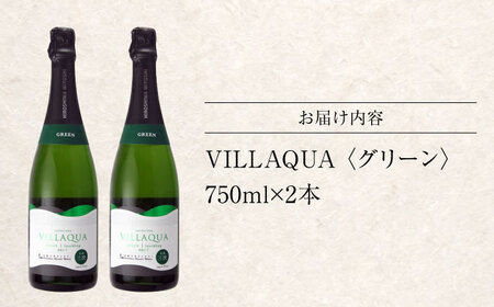 VILLAQUA -グリーン- 750ml×2本 [APAZ152] ワイン