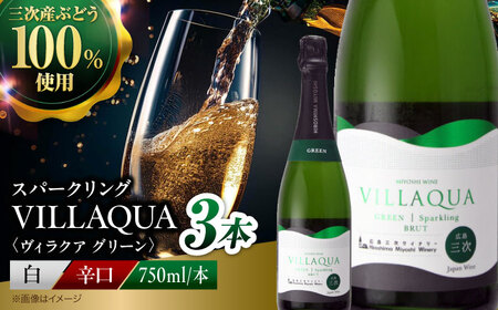 VILLAQUA -グリーン- 750ml×3本 [APAZ153] ワイン