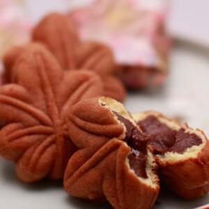 もみじ饅頭5種類セット【1202340】