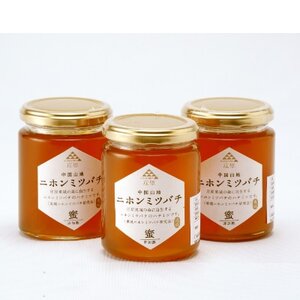 二ホンミツバチのハチミツ　250g×3個【1202414】