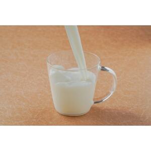 【8個入り】シンフォニープディング(プリン)【配送不可地域：離島】【1235029】