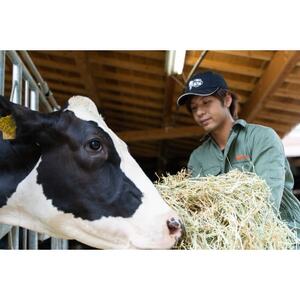 【8個入り】シンフォニージェラート　詰め合わせセット【配送不可地域：離島】【1235037】