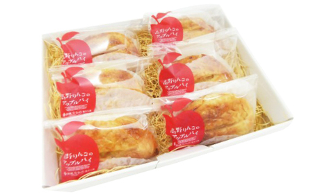 高野りんごのアップルパイ　6個(個包装)【配送不可地域：離島】【1322322】