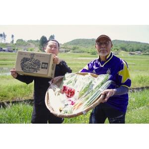 庄原産「旬の野菜」詰め合わせ箱【配送不可地域：離島】【1345756】