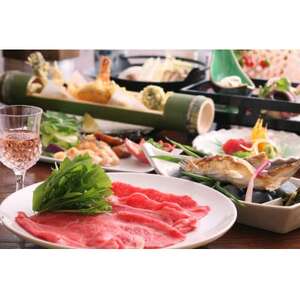 帝釈峡観光ホテル養浩荘ご宿泊券「雌橋プラン【平日】1名様1泊2食(夕・朝)」【1475635】