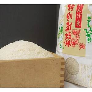 【毎月定期便】夢のひかり5kg(こしひかり)全3回【4074309】