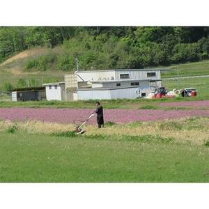 【毎月定期便】夢のひかり5kg(こしひかり)全3回【4074309】