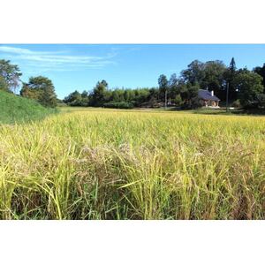 令和7年産 新米 広島県庄原市産 あきさかり(玄米)【1690112】