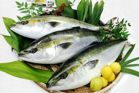 あたたブリtoレモン (皮なし) 4パック (合計800g)｜大容量 刺身 生食用 冷凍 国産 鰤 切り身 瀬戸内海 国産 しゃぶしゃぶ ぶりしゃぶ 照り焼き 鰤丼 ご飯のお供 生産量日本一 広島 阿多田島 ふるさと ランキング 人気 [1836]