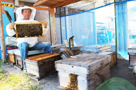 たぁちゃんのはちみつ 600g×1本 [1641]