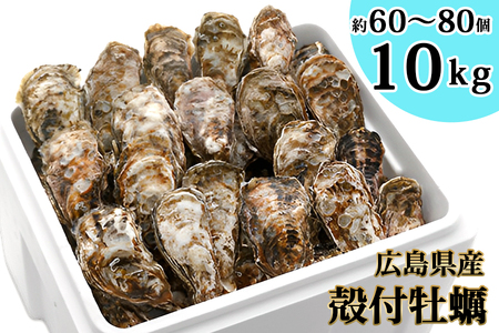 殻付 牡蠣 10kg｜朝どれ 生牡蠣 生かき 生がき 生カキ 生ガキ 広島県産 宮島 瀬戸 [1747]