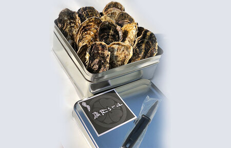 オレのガンガン焼き (冷凍殻付) 2.5kg (約15個から20個)｜牡蠣 殻付き牡蠣 海の幸 貝類 [2221]