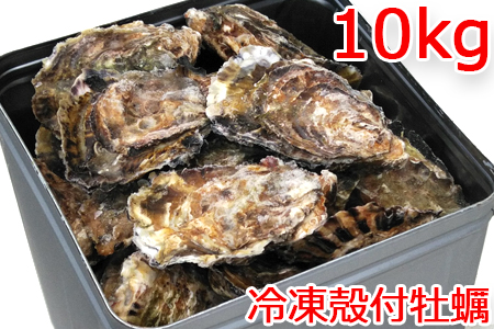 広島県大竹市産 冷凍殻付牡蠣 10kg｜朝どれ 大容量 加熱用 かき 大粒 生ガキ 貝 シーフード オイスター 海鮮 濃厚 BBQ バーベキュー ガンガン焼き おおたけカキ 特大サイズ 玖波 宮島 瀬戸 国産 産地直送 [2222]