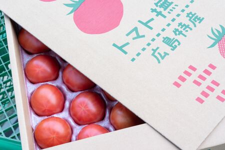 アグライズ トマト撫子 約4kg【配送時期：6月～12月】【冷蔵配送：6月～10月】