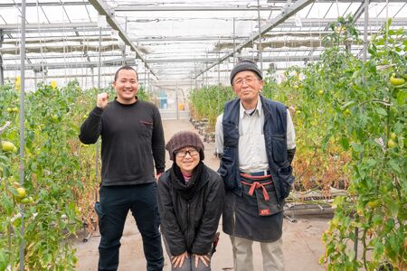 【予約商品】アグライズ 別嬪とまと撫子 約2kg（約1kg箱×2）【配送時期：2月～3月】