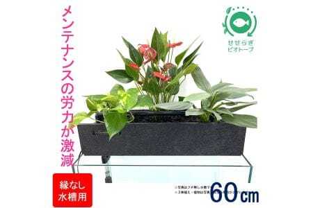 せせらぎビオトープ　60cm型ろ過装置・縁なし水槽用（※水槽はついていません）