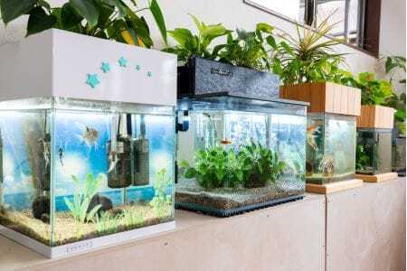 せせらぎビオトープ　60cm型ろ過装置・縁なし水槽用（※水槽はついていません）