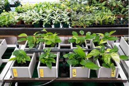 せせらぎビオトープ　60cm型ろ過装置・縁なし水槽用（※水槽はついていません）