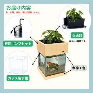 せせらぎビオトープ　20cm型基本+木枠台セット