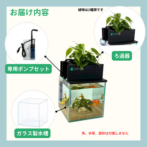 せせらぎビオトープ　20cm型基本セット
