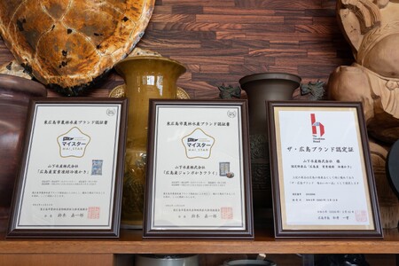 広島産 ジャンボかきフライ(400g(10個)×3パック)