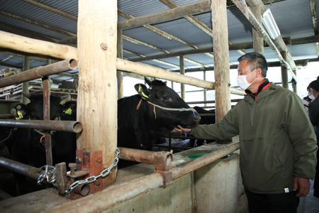 黒瀬牛 ステーキ用　180g×4枚【配達不可：北海道・沖縄・離島】