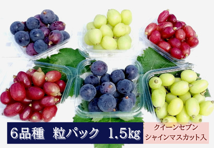 【2026年発送分先行予約】6品種の粒パックセット 1.5㎏　クイーンセブン・シャインマスカット入り　250gパック×6個　8月下旬発送【配送不可：離島】【※お届け日指定不可】