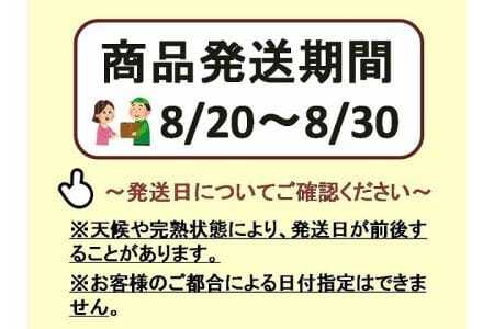 【2024年発送分先行予約】全部皮ごと・農家自慢の6品種パック 1.5kg　ナガノパープル・クイーンセブン・雄宝入り　250gパック×6個【配送時期：8月下旬】【配送不可：離島】