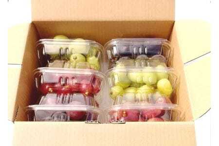 【2024年発送分先行予約】全部皮ごと・農家自慢の6品種パック 1.5kg　ナガノパープル・クイーンセブン・雄宝入り　250gパック×6個【配送時期：8月下旬】【配送不可：離島】