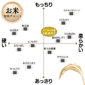 【定期便】 【令和7年産】 広島県産 お米マイスター厳選米 【出荷直前精米】 15kg(5kg×3回)