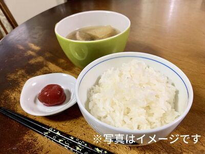 キューブ型 無洗米 恋の予感2合(300g)×6個セット ギフト 個包装 真空パック