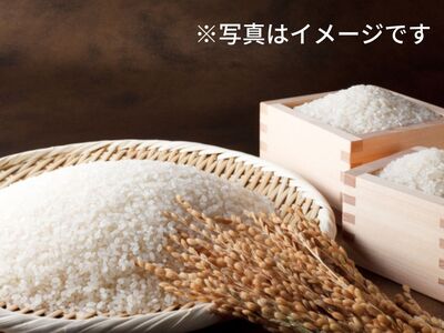 キューブ型 無洗米 恋の予感2合(300g)×6個セット ギフト 個包装 真空パック