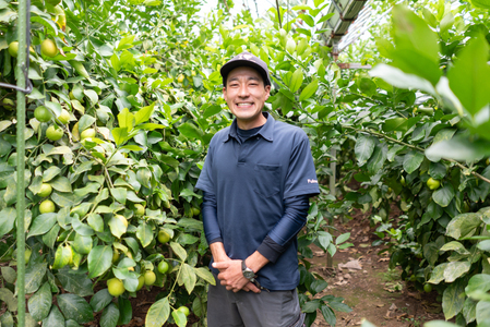 ワックス・防腐剤不使用の皮ごと使えるレモン5㎏【配送時期:9月上旬~4月下旬】